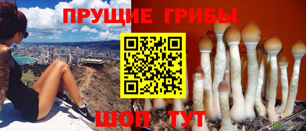 купить наркотики сайты  Псилоцибиновые грибы прущие грибы  Псилоцибиновые грибы Psilocybe  Вход с VPN  Иркутск 
